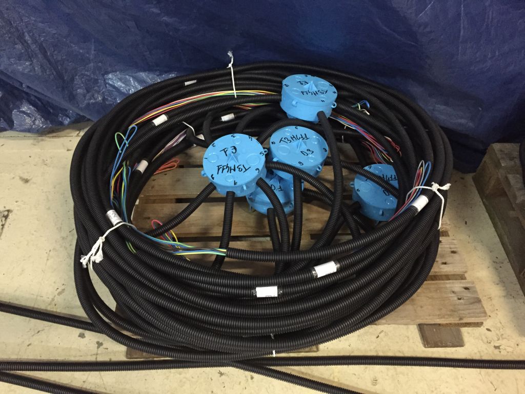 pieuvre ideal rez de chaussee image 31485 grande